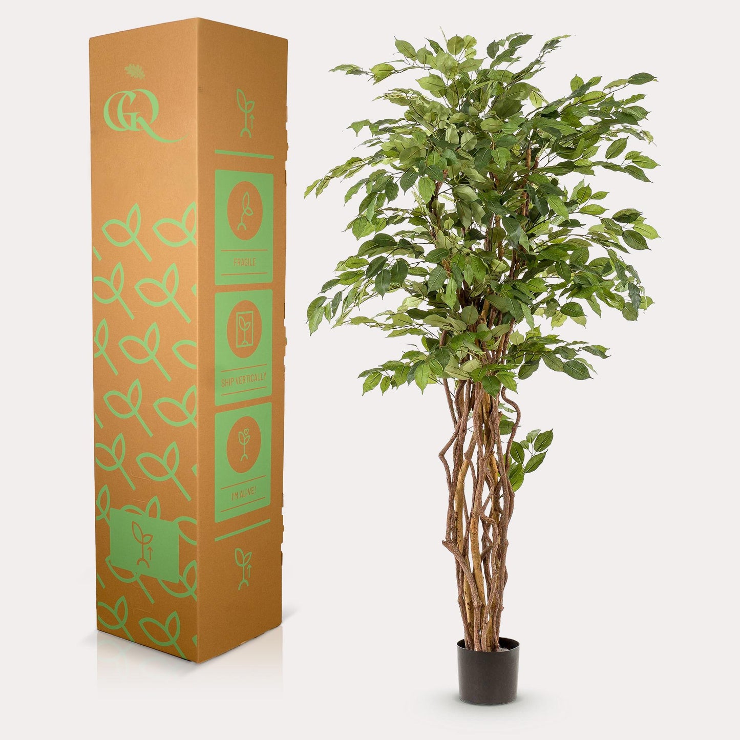 kunstplant - Ficus liana - Vioolbladplant - 170cm
