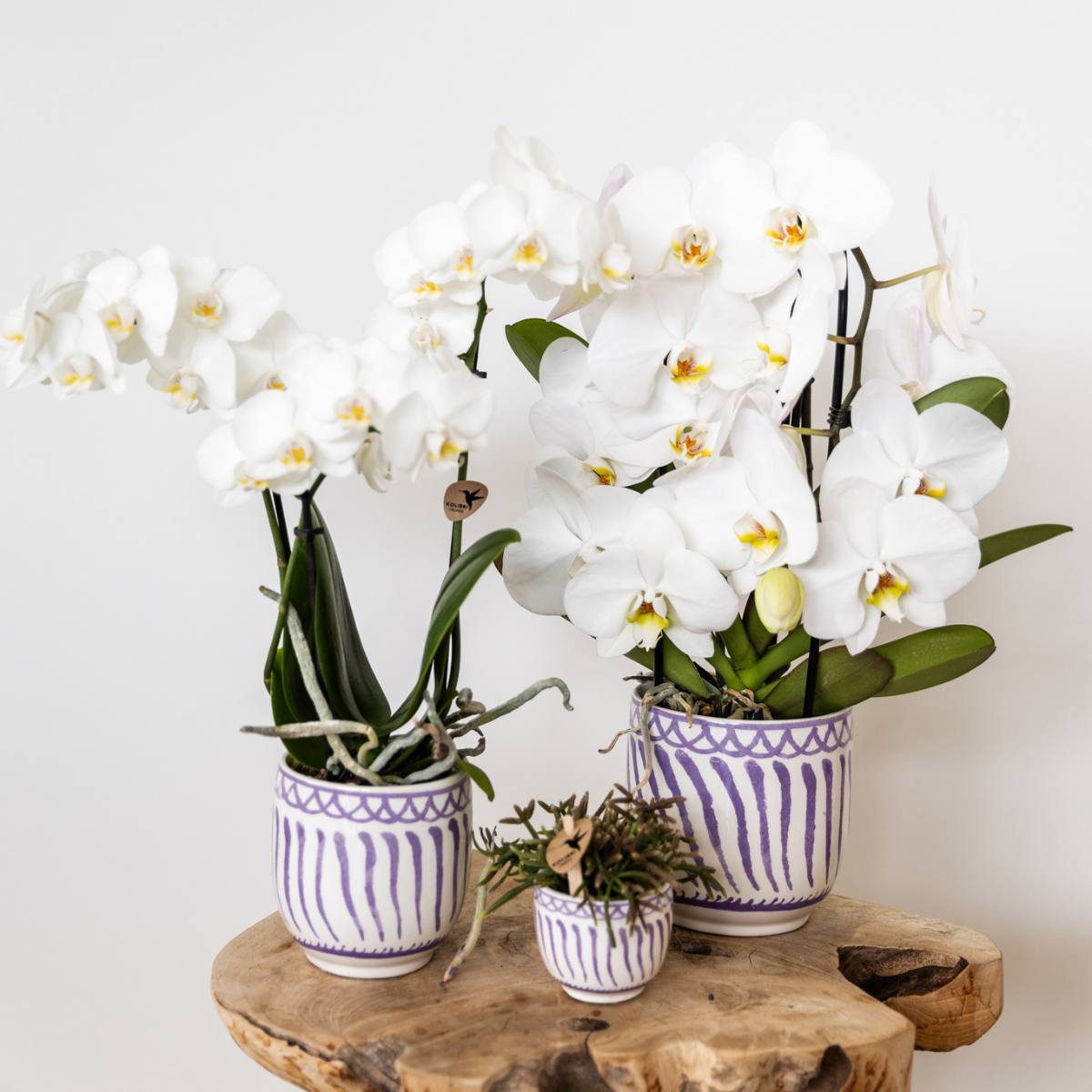 Kolibri Home | Granada - Lilac - Ø6cm