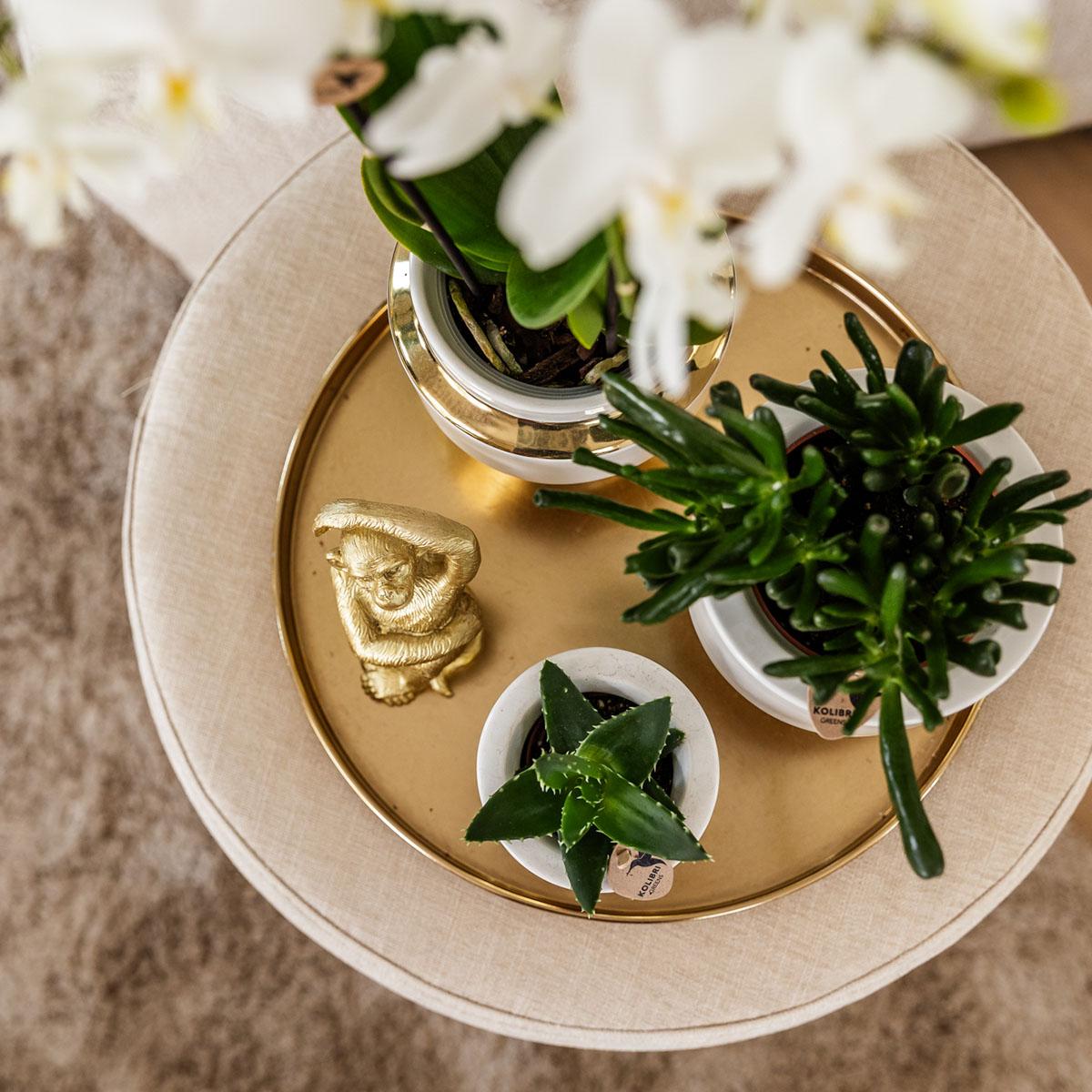 Kolibri Home | Le Chic bloempot - Witte keramieken sierpot met gouden details - Ø9cm