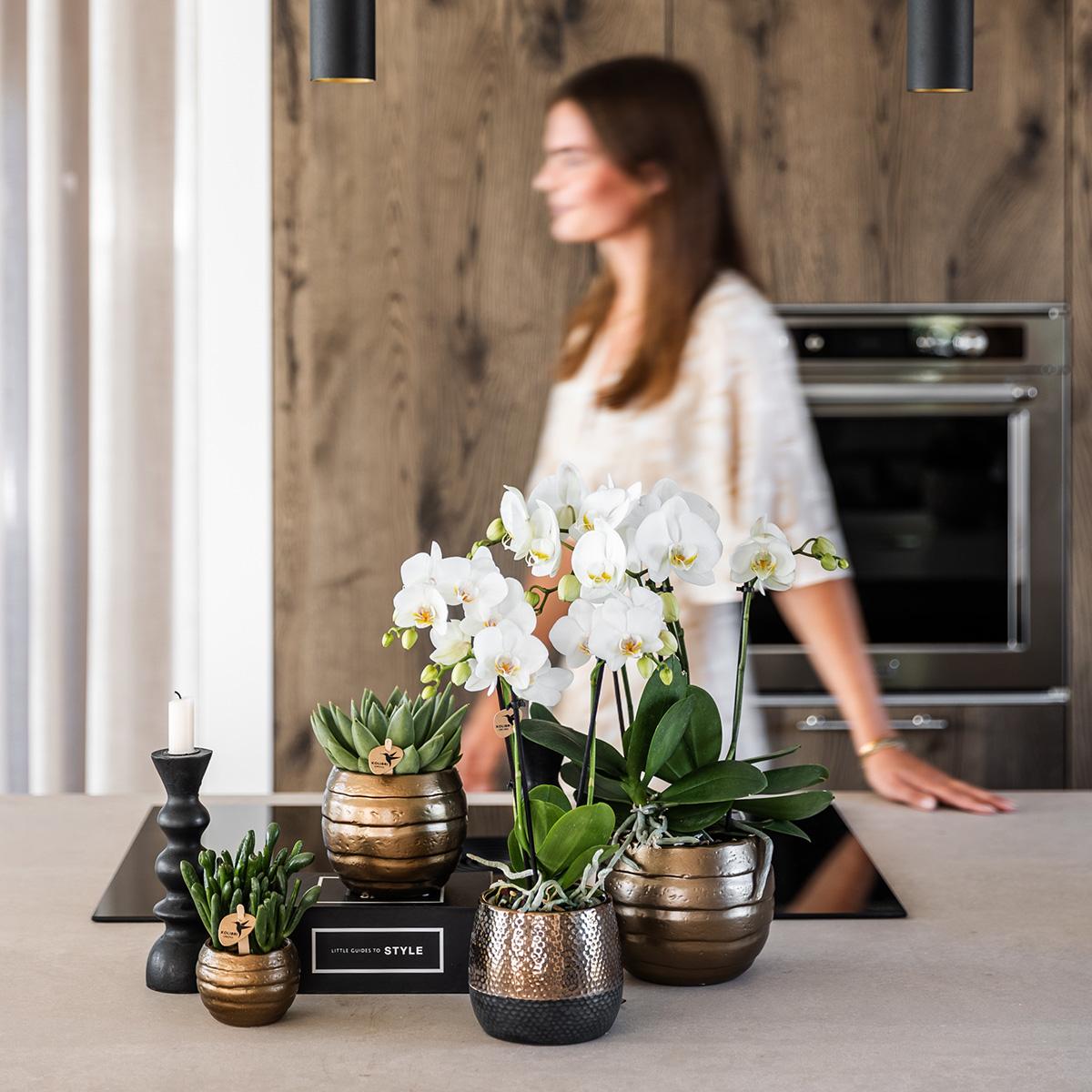 Kolibri Home | Elite pot copper - Ø9cm