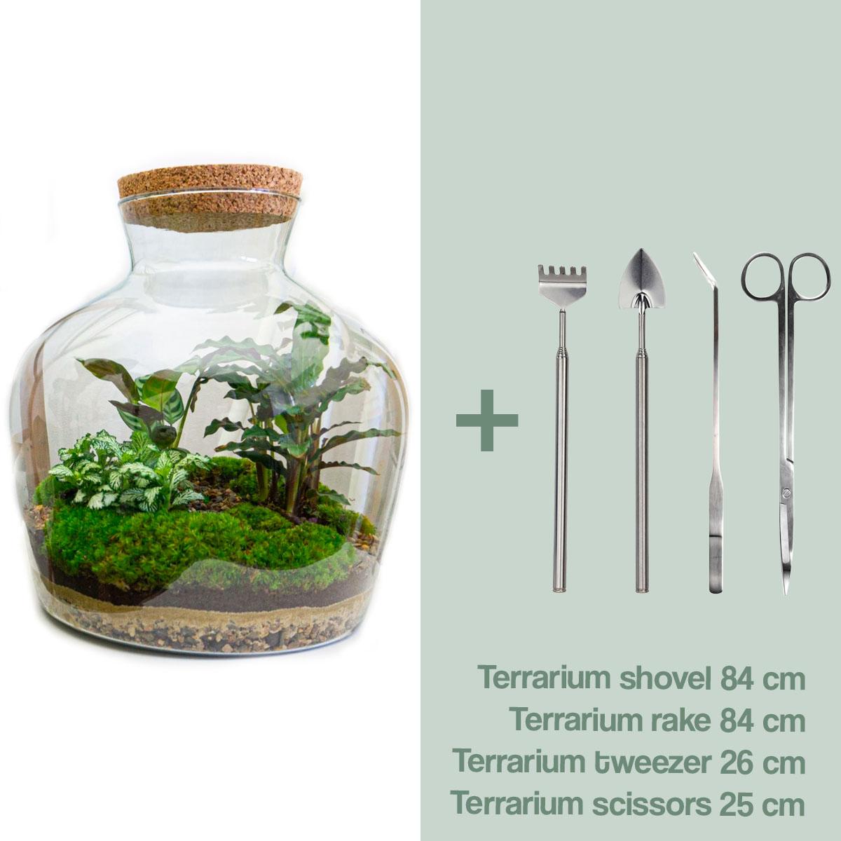 DIY terrarium - Fat Joe - ↕ 30 cm - Rake + Shovel + Tweezer + Scissors