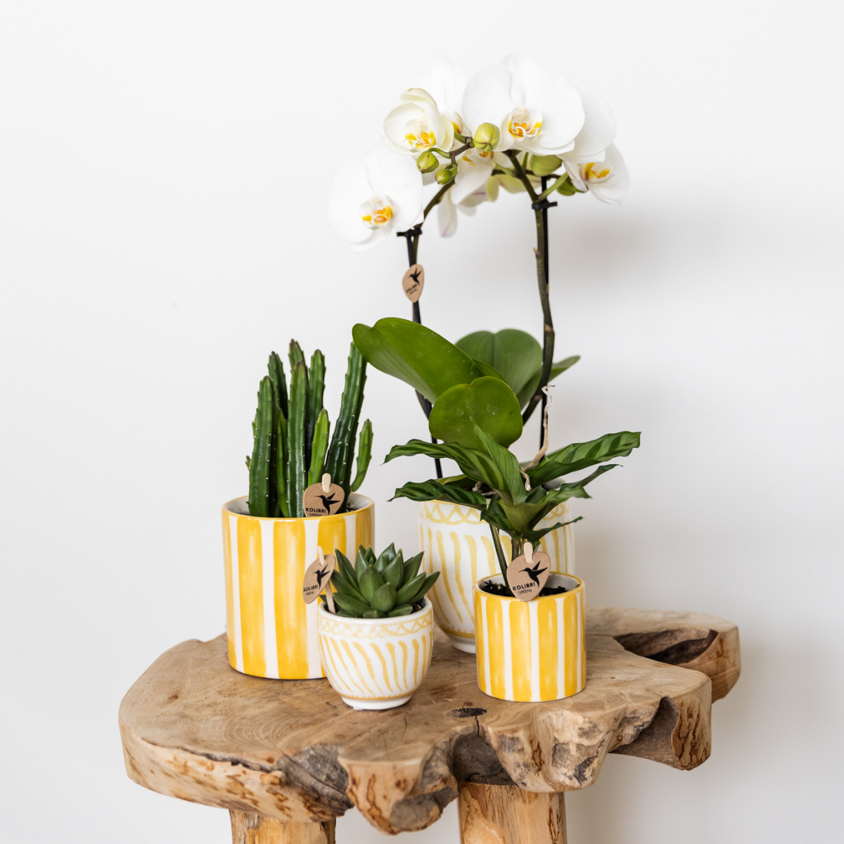 Kolibri Home | Granada - Yellow - Ø6cm
