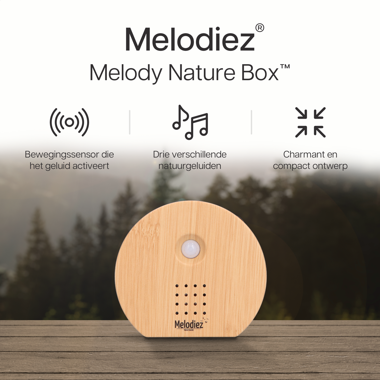 Melodiez music box - Hout