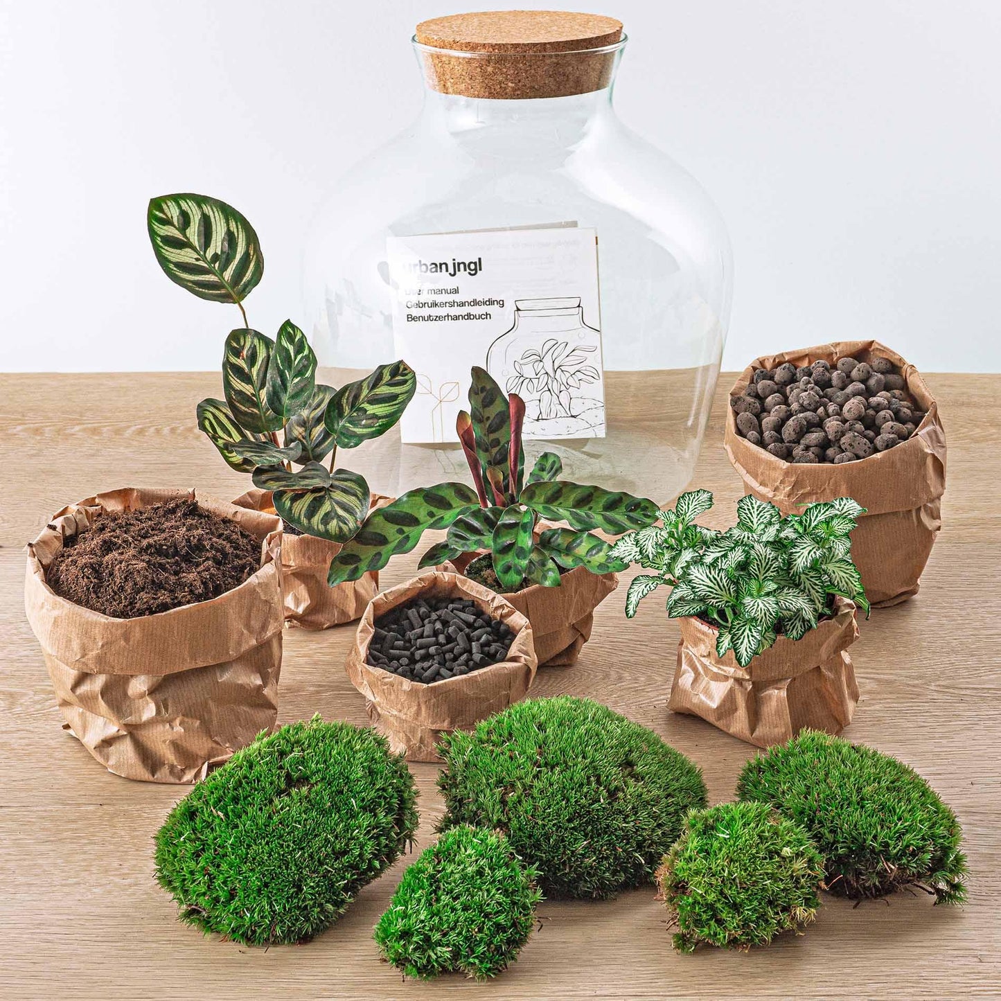 DIY terrarium - Fat Joe - ↕ 30 cm - Rake + Shovel + Tweezer + Scissors