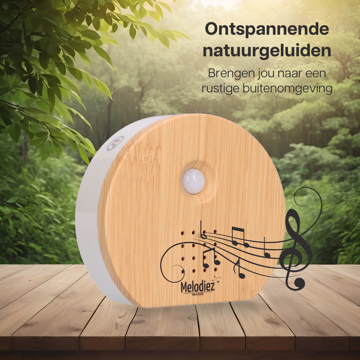 Melodiez music box - Hout
