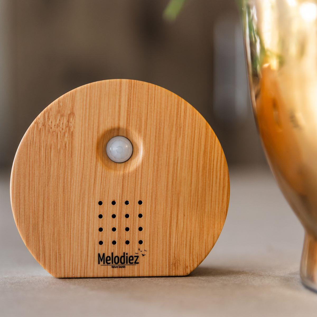 Melodiez music box - Hout