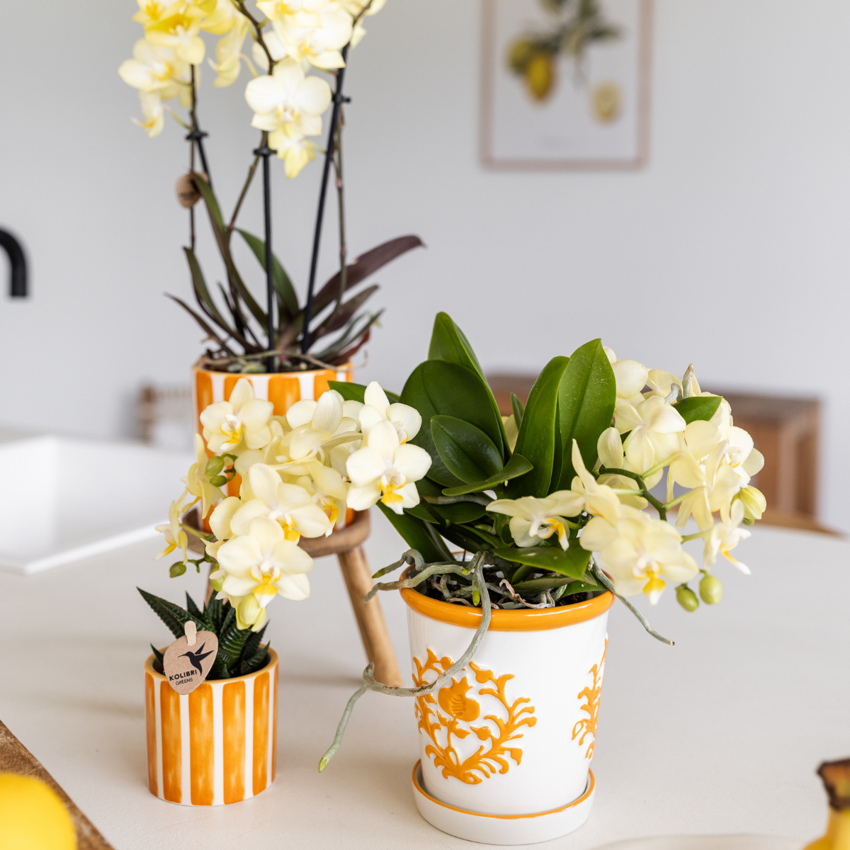 Kolibri Home | Painted stripe - Orange - Ø6cm