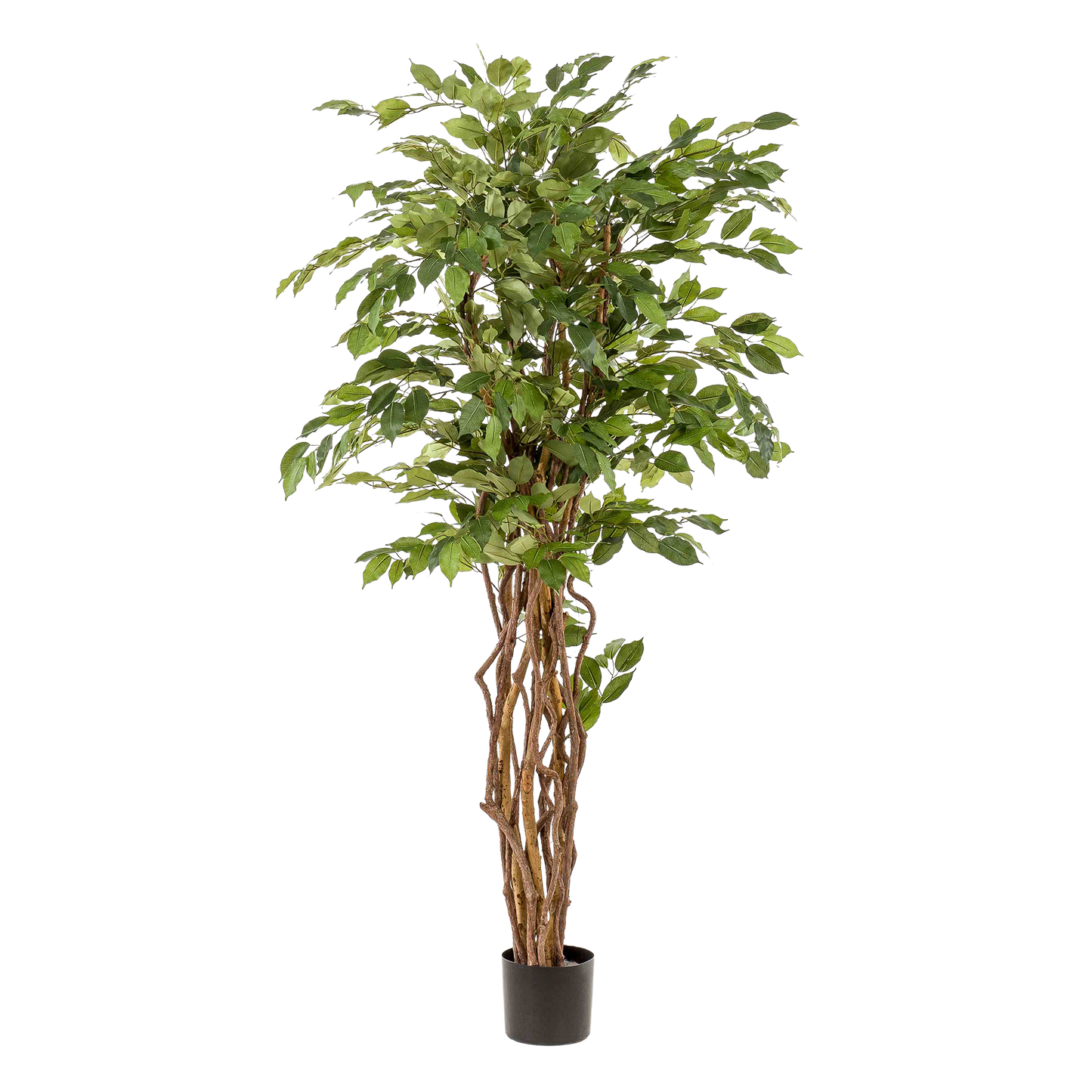 kunstplant - Ficus liana - Vioolbladplant - 170cm