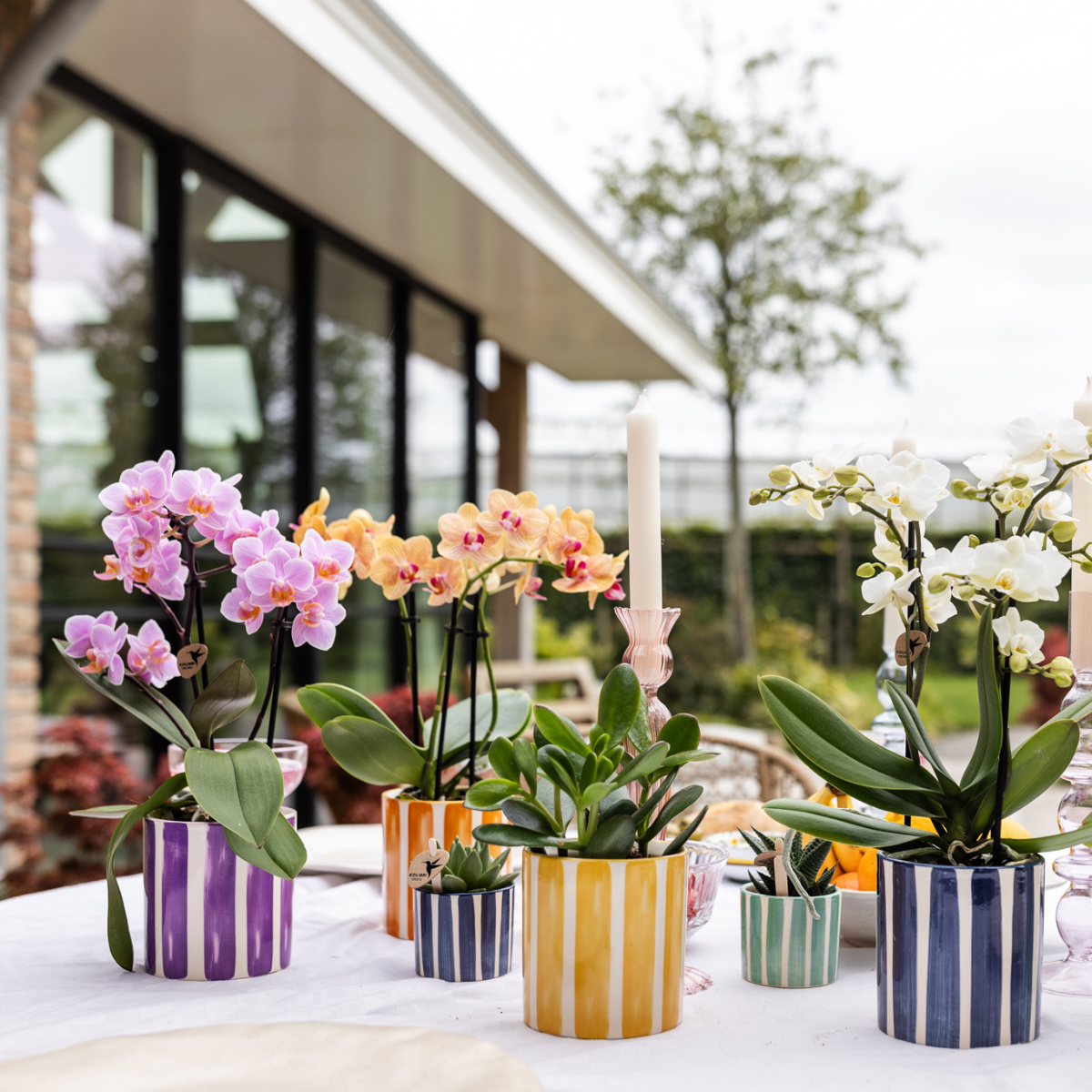 Kolibri Home | Painted stripe - Lilac - Ø9cm