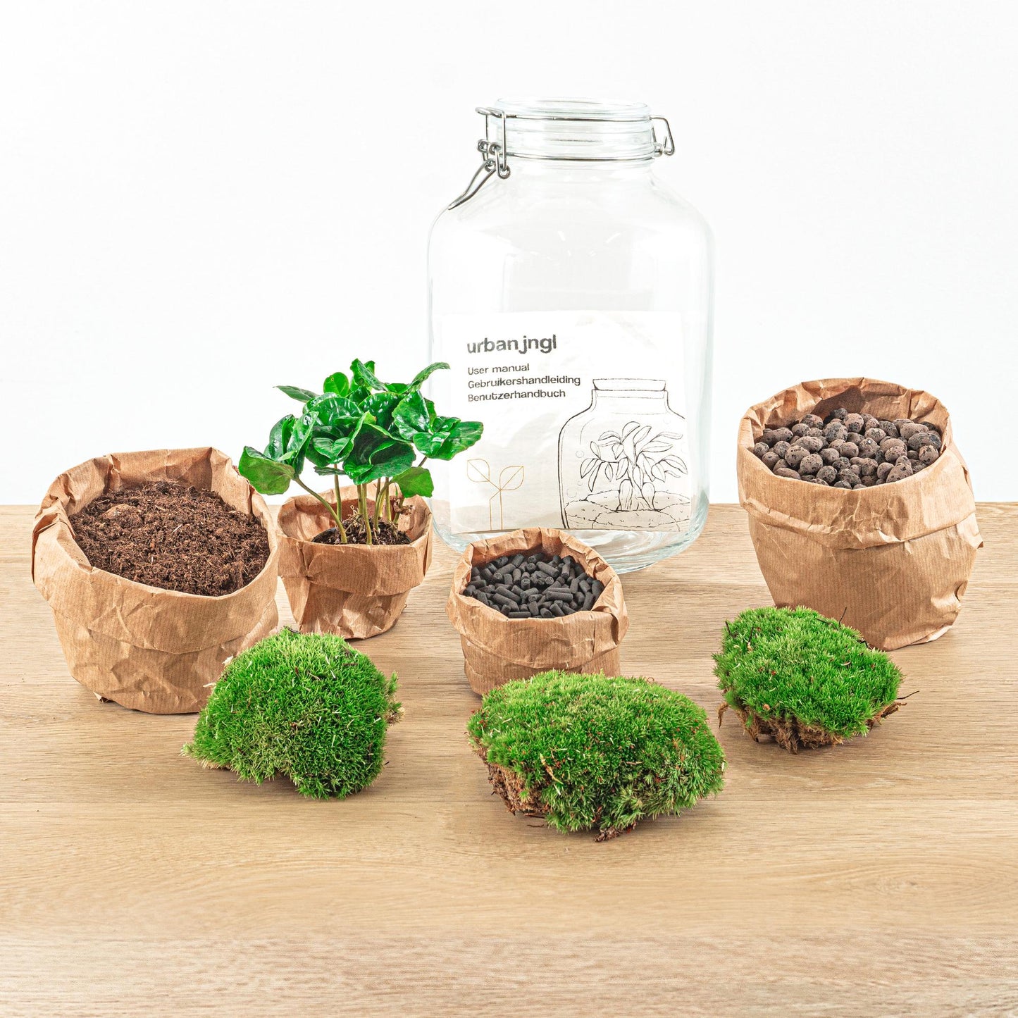 DIY terrarium - Jar - Coffea Arabica - ↕ 28 cm - Rake + Shovel + Tweezer