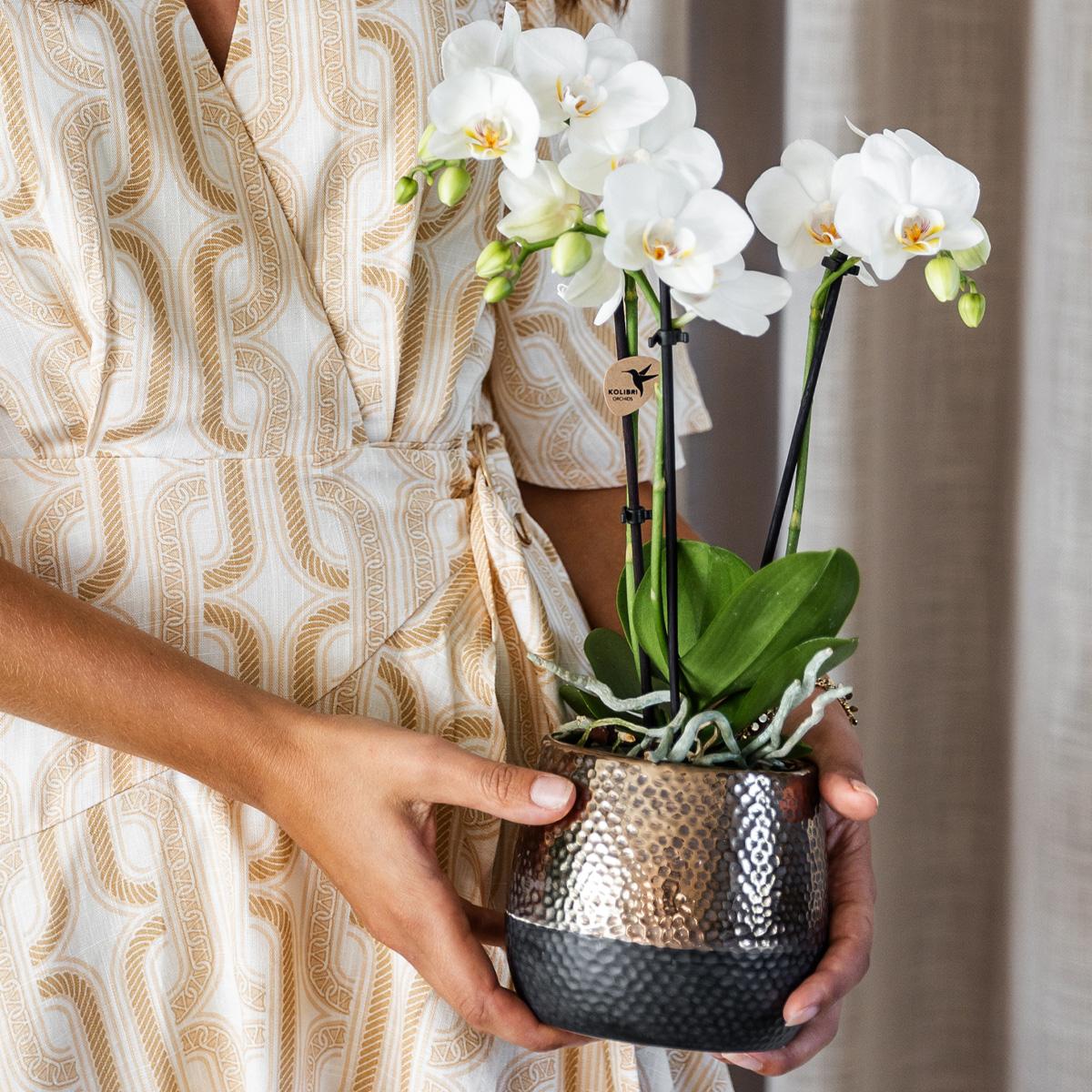 Kolibri Home | Elite pot copper - Ø9cm
