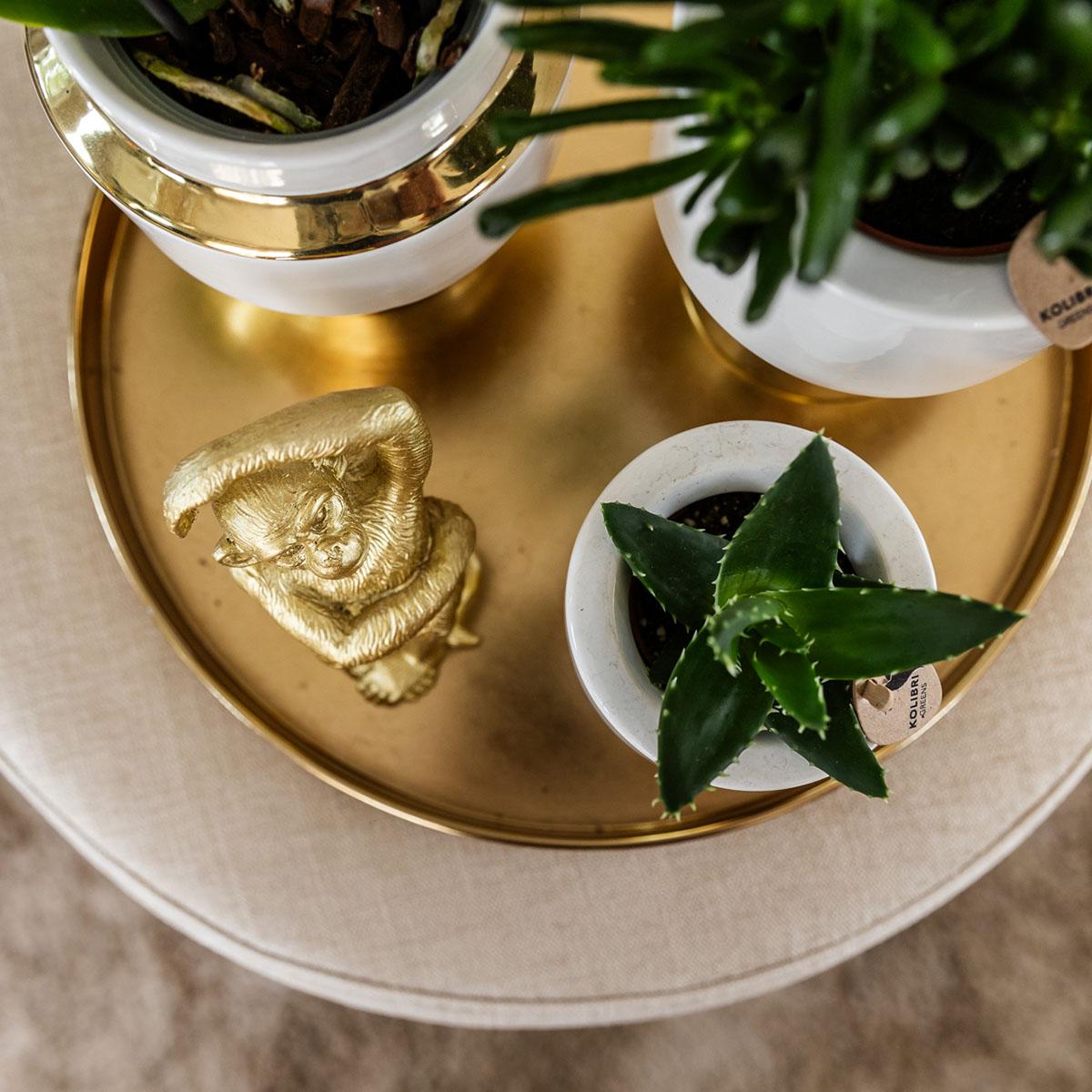Kolibri Home | Le Chic bloempot - Witte keramieken sierpot met gouden details - Ø6cm