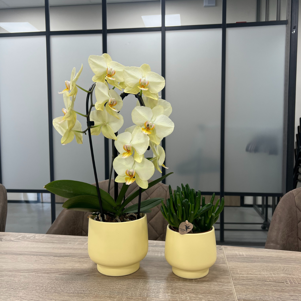 Kolibri Home | Scandic bloempot - Yellow - ⌀9cm