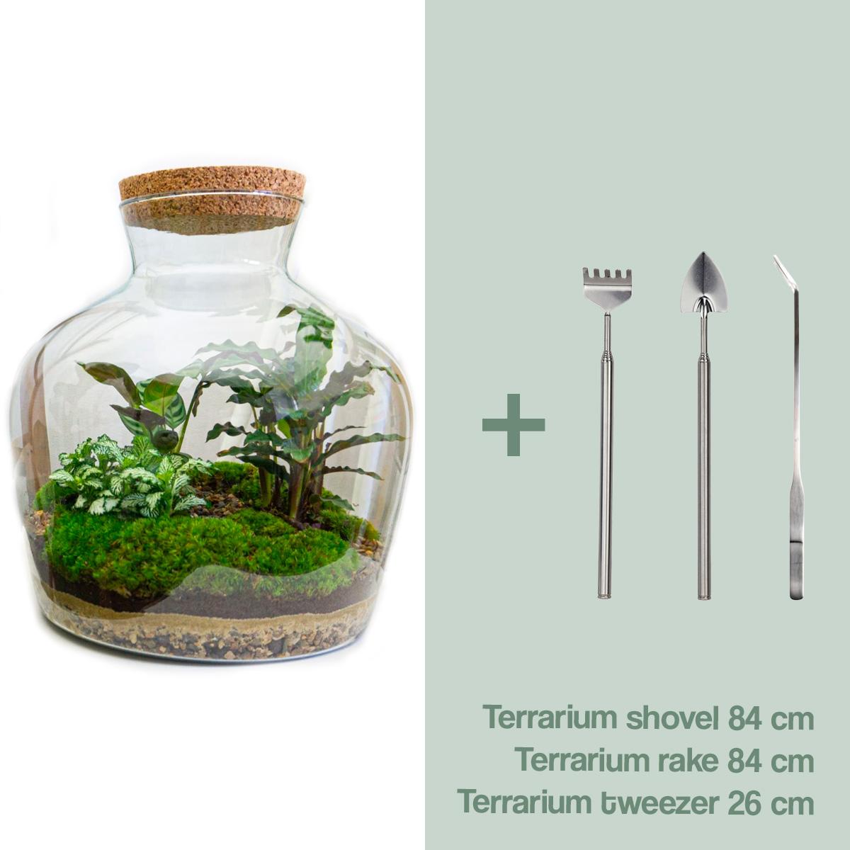 DIY terrarium - Fat Joe - ↕ 30 cm - Rake + Shovel + Tweezer