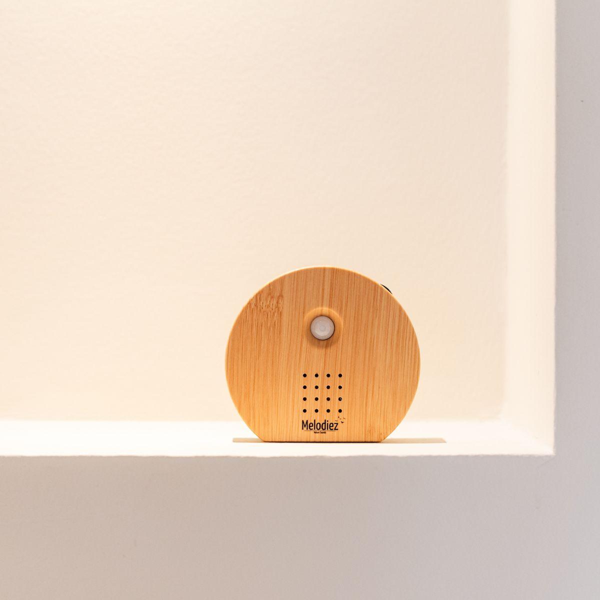 Melodiez music box - Hout