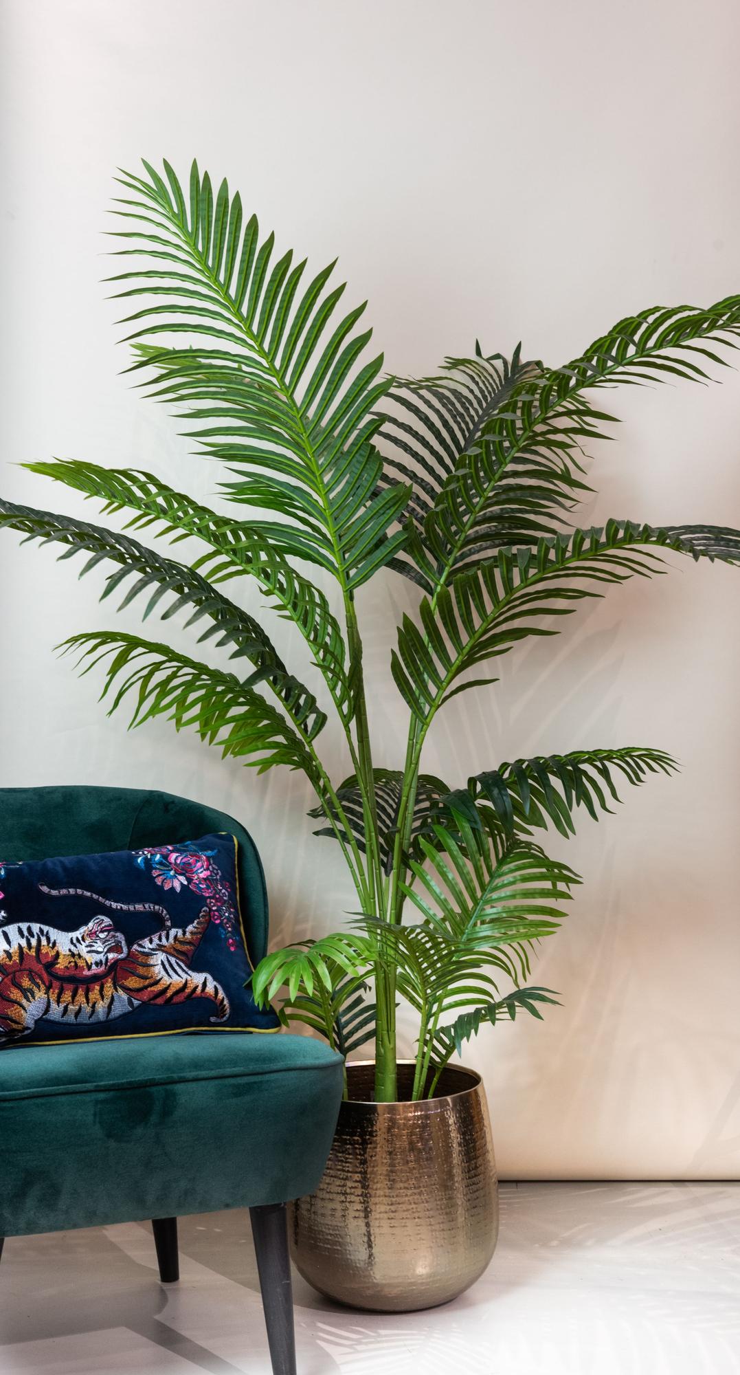 Kunstplant - Howea Forsteriana - 160 cm