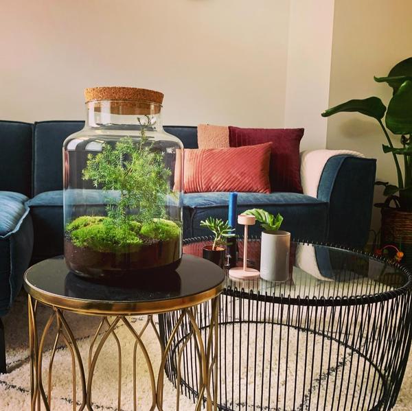 DIY terrarium - Jar Christmas - ? 28 cm