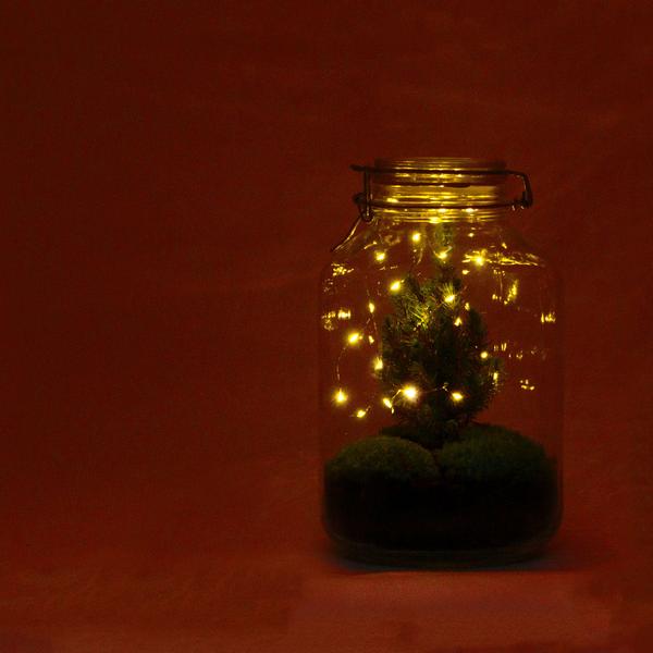 DIY terrarium - Jar Christmas - ? 28 cm