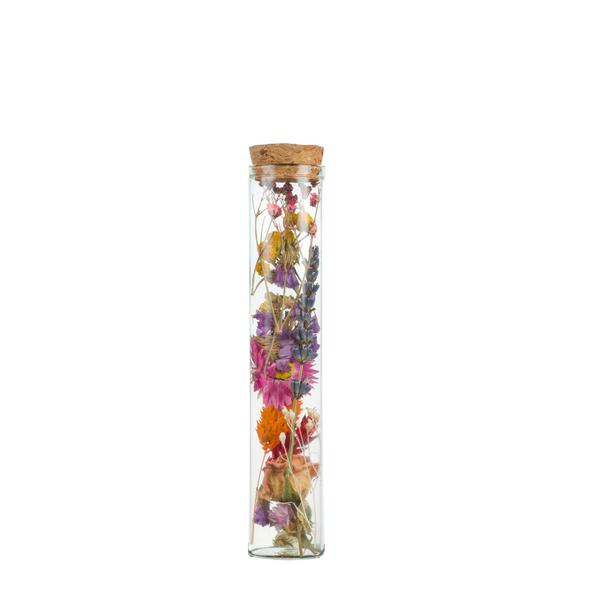 Droogbloemen - Wish Bottle Medium - Multi - 6 stuks - ?15cm