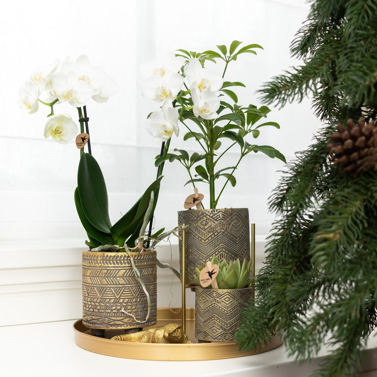 Arrangementen, ornamenten, vazen en tableau's.
