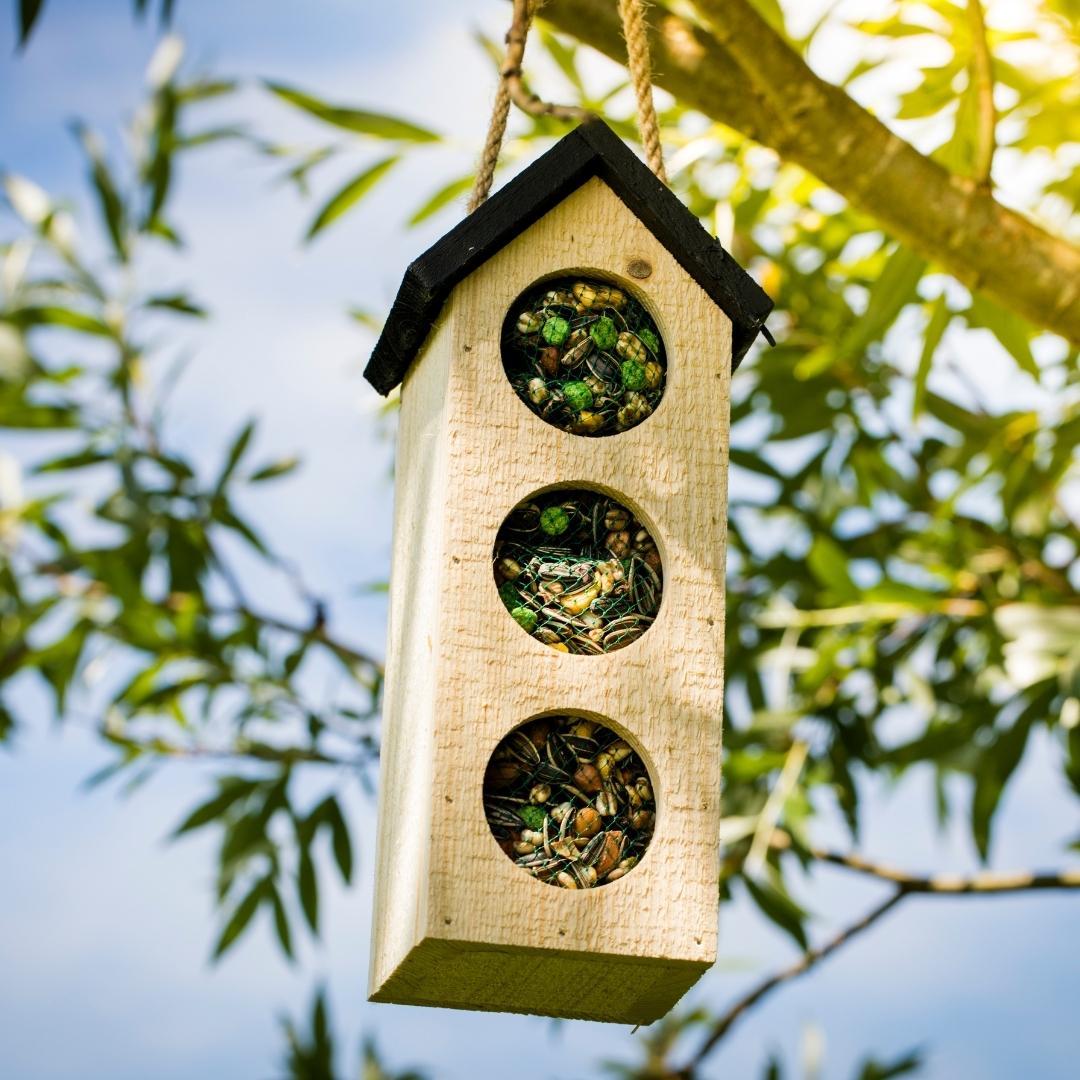 Vogelhuisjes en vogelvoeding