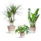 Schaduw Plantenbox - medium - met mand Lissabon wit