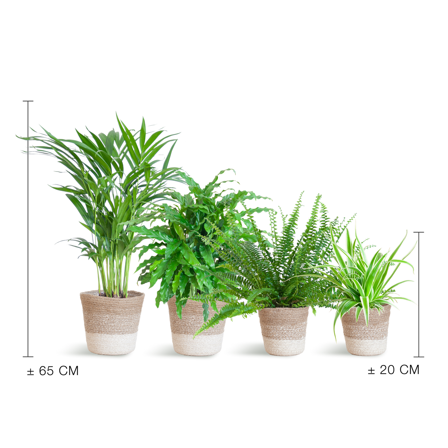 Diervriendelijke plantenset