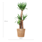 Yucca XL met Torun mand - 125cm - Ø24