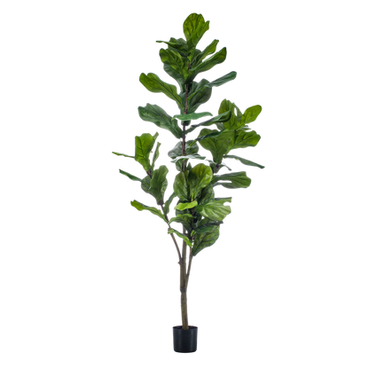 kunstplant - Ficus Lyrata  - Tabaksplant - 150cm