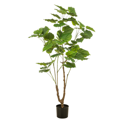 Kunstplant - Ficus umbellate - Afrikaanse vijg - 125cm