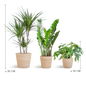 Schaduw Plantenbox - medium - met mand Sofia