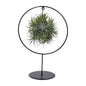Tillandsia Ring Mix - Ø15cm - ↕35cm
