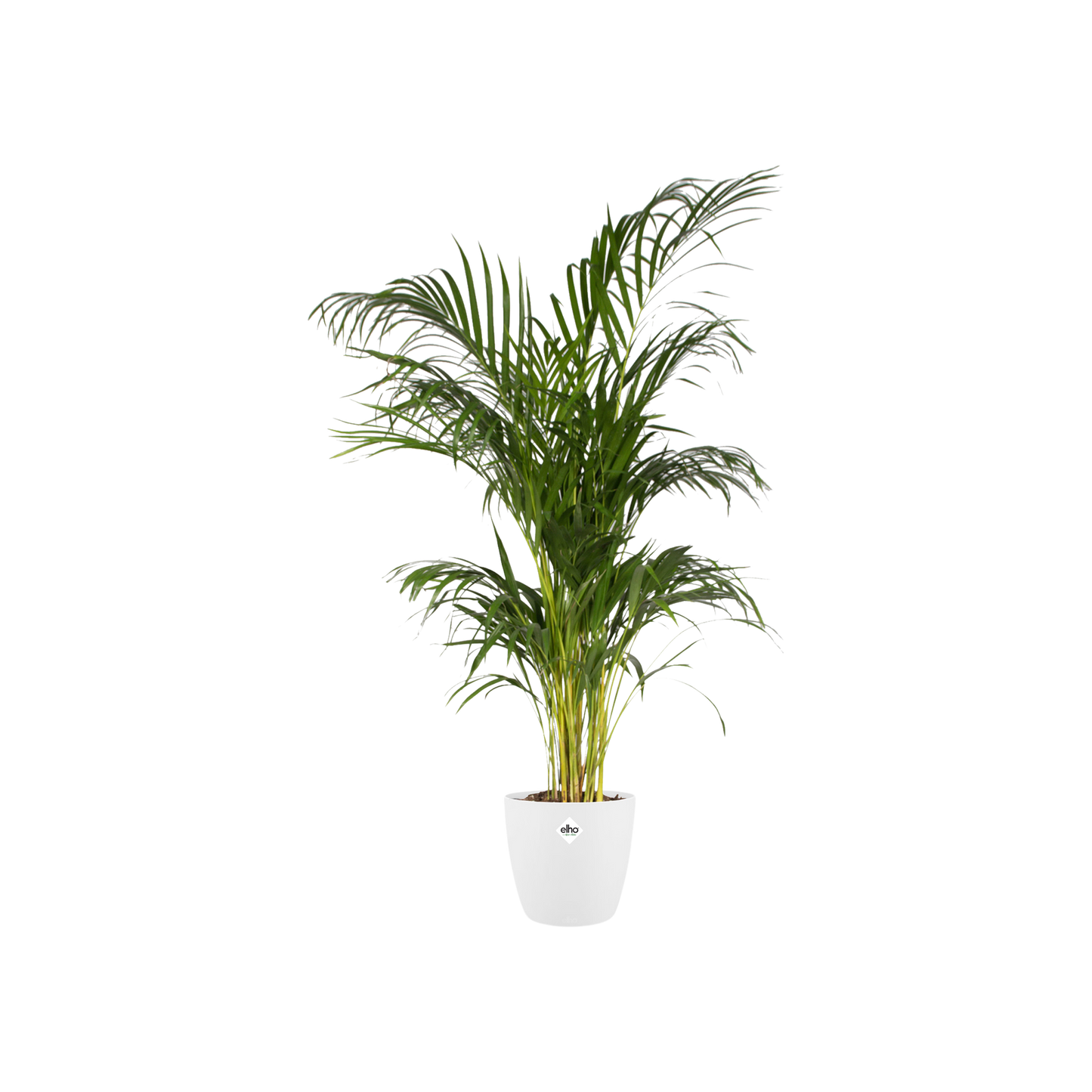 Pot elho Brussels Round Wit D20 x H19