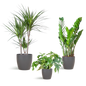 Schaduw Plantenbox - medium - met vibers pot grijs
