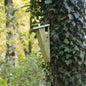 Vogelhuis boomkruiper - Nestkast - Tuindieren