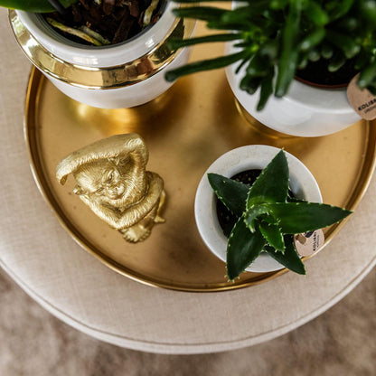 Kolibri Home | Le Chic bloempot - Witte keramieken sierpot met gouden details - Ø6cm
