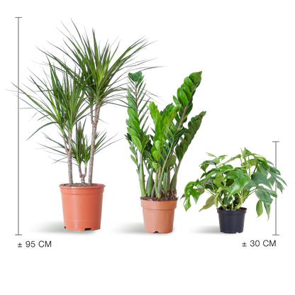 Schaduw Plantenbox - medium - zonder sierpot