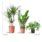 Schaduw Plantenbox - medium - zonder sierpot