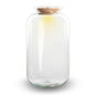 Terrarium fles met verlichting in kurk - Model: Sven XL - ↑ 43 cm