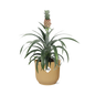 Ananas Mi Amigo in ELHO Vibes Fold 14cm geel