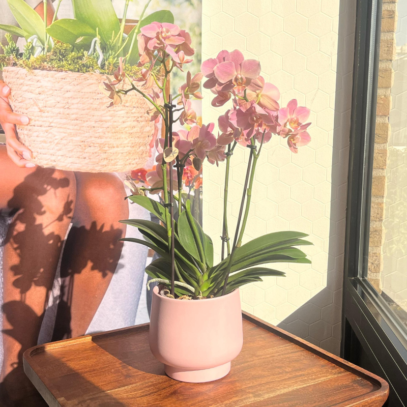 Kolibri Home | Scandic bloempot  - Pink - ⌀12cm