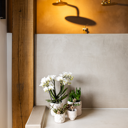 Kolibri Home | Star Fish sierpot - Off White - Ø9cm
