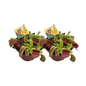 Dionaea Muscipula - 2 stuks - Ø12cm - ?12cm