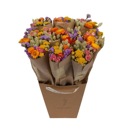 Droogbloemen - Market More - Multi - ?50cm