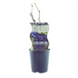 Vitis Boskoop Glory (Blauwe druif) - Ø12cm - ?30cm