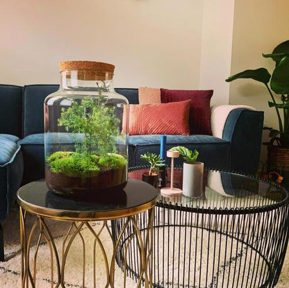 DIY terrarium - Jar Christmas - ? 28 cm
