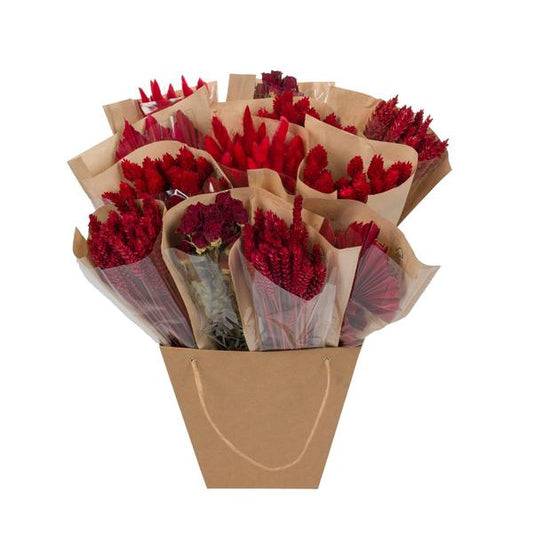 Droogbloemen - Dried Mono Mix - Red - ?50cm