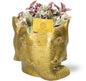 Tradescantia Sweetness - Ø10,5cm - ?10cm + Planter Olifant D11/12x10cm - Goud