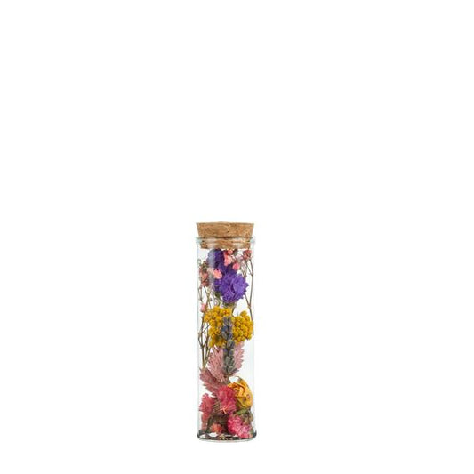 Droogbloemen - Wish Bottle Small - Multi - 12 stuks - ?10cm