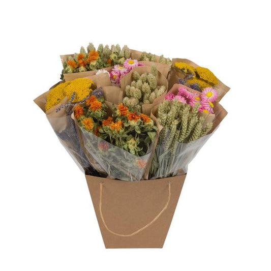 Droogbloemen - Dried Mono Mix - Dutch - ?50cm